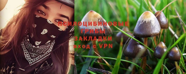 таблы Богданович