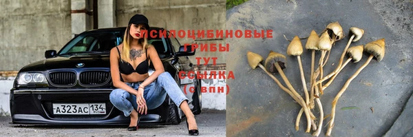 бутират Богородицк