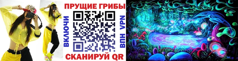 мориарти как зайти  Электрогорск  Псилоцибиновые грибы Psilocybe 